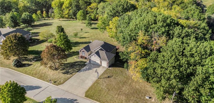 1908 NE 159th Street, Smithville, MO 64089 | MLS#2514077