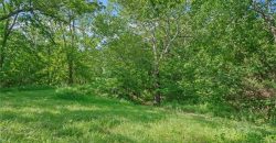 9170  E Highway, Camden Point, MO 64018 | MLS#2477781