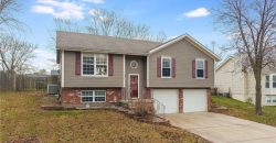 527  Lauren Street, Liberty, MO 64068 | MLS#2522621