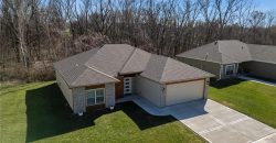 Homes for Sale in Excelsior Springs, MO 64024 | 1313  Kristie Circle