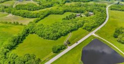 Homes for Sale in Platte City, MO 64079 | 20775  MO-273 Highway