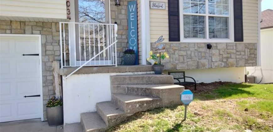 Homes for Sale in Excelsior Springs, MO 64024 | 703  Lodwick Lane
