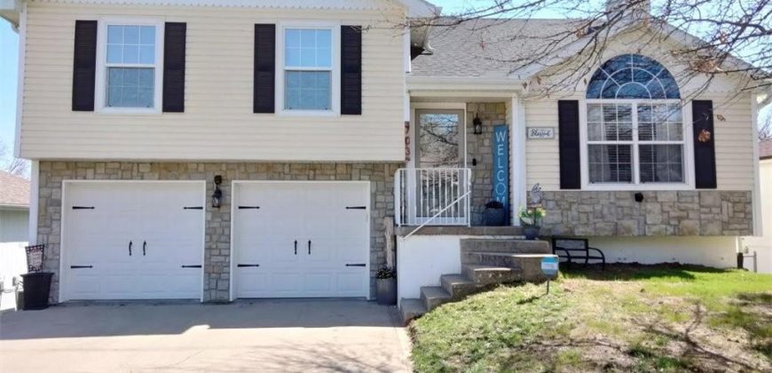 Homes for Sale in Excelsior Springs, MO 64024 | 703  Lodwick Lane