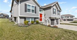 Homes for Sale in Kansas City, MO 64157 | 11722 N WINDSOR Avenue
