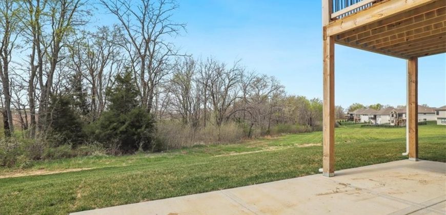 Homes for Sale in Smithville, MO 64089 | 609  Blackhawke Drive