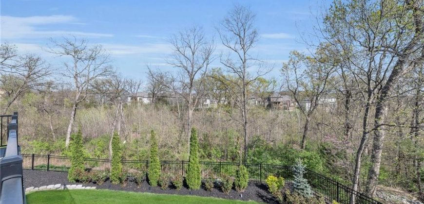 Homes for Sale in Parkville, MO 64152 | 13559  Terrace Park Drive