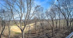 Homes for Sale in Parkville, MO 64152 | 10600  Chateau Lane