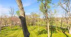 Homes for Sale in Smithville, MO 64089 | 210  Carriage Court