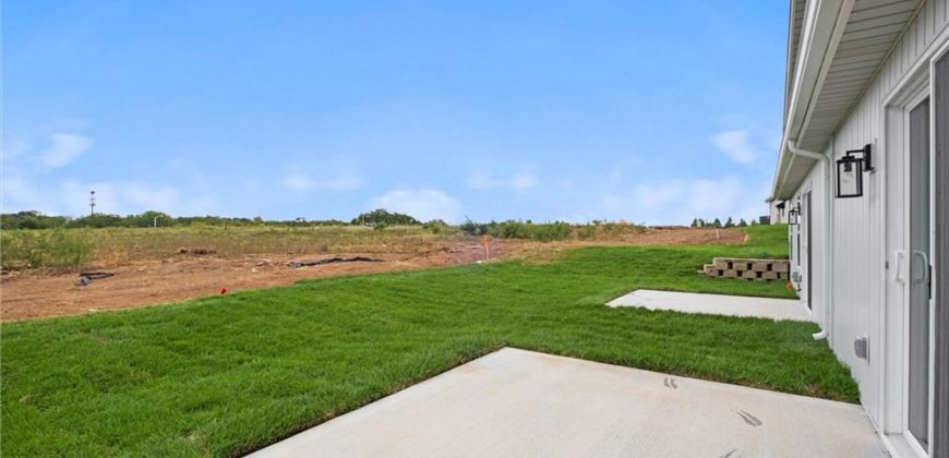 Homes for Sale in Kansas City, MO 64154 | 3903 NW 93rd Street