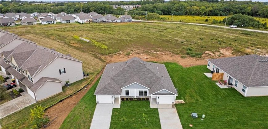 Homes for Sale in Kansas City, MO 64154 | 3903 NW 93rd Street