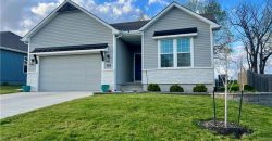 Homes for Sale in Kansas City, MO 64154 | 3970 NW 97th Street