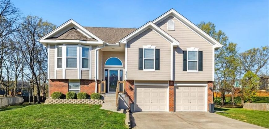 Homes for Sale in Smithville, MO 64089 | 301  Amesbury Drive
