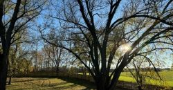 Homes for Sale in Liberty, MO 64068 | 12111  Scott Avenue