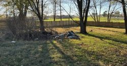 Homes for Sale in Liberty, MO 64068 | 12111  Scott Avenue