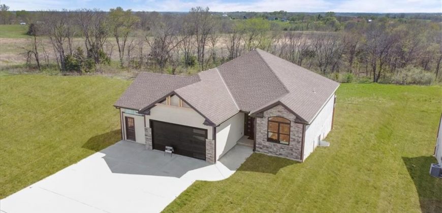 Homes for Sale in Smithville, MO 64089 | 709  Apache Court