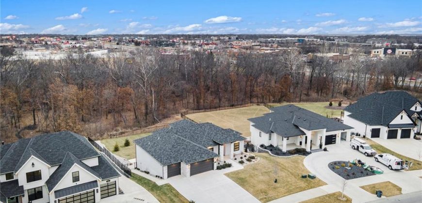 Homes for Sale in Kansas City, MO 64157 | 8689 NE Shoal Creek Valley Drive