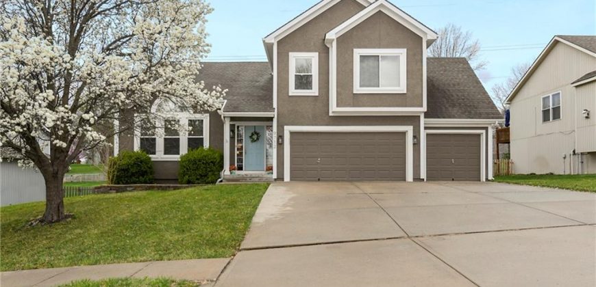 Homes for Sale in Kansas City, MO 64155 | 9712 N Highland Terrace