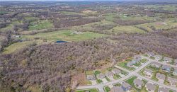 Homes for Sale in Smithville, MO 64089 | 704  Walnut Drive