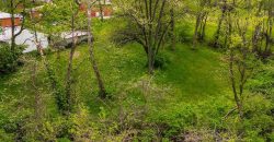 Homes for Sale in Kansas City, MO 64118 | 1205 NE 72nd Street