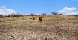 Homes for Sale in Kearney, MO 64060 | 16714 N Endicott Road