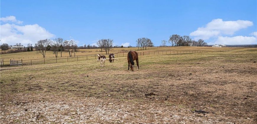Homes for Sale in Kearney, MO 64060 | 16714 N Endicott Road