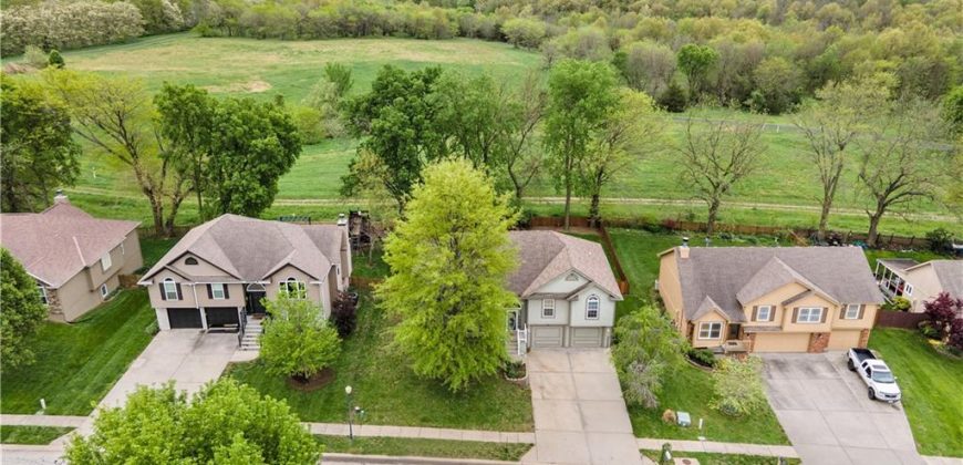 Homes for Sale in Smithville, MO 64089 | 309  Lakeview Drive