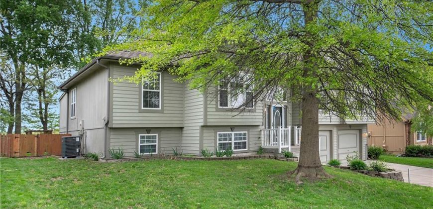 Homes for Sale in Smithville, MO 64089 | 309  Lakeview Drive