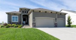 Homes for Sale in Kansas City, MO 64155 | 1115 NW 106th Street