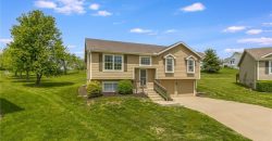 Homes for Sale in Platte City, MO 64079 | 13790  Green Meadow Court