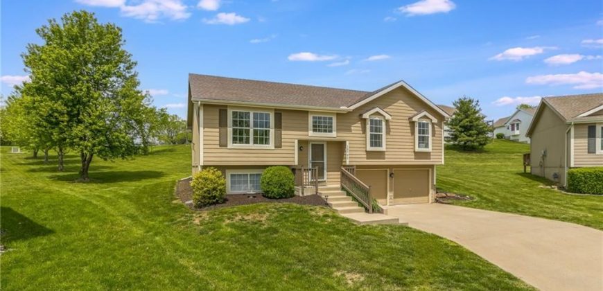Homes for Sale in Platte City, MO 64079 | 13790  Green Meadow Court