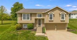 Homes for Sale in Platte City, MO 64079 | 13790  Green Meadow Court
