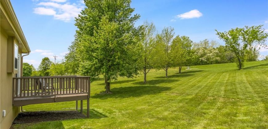 Homes for Sale in Platte City, MO 64079 | 13790  Green Meadow Court