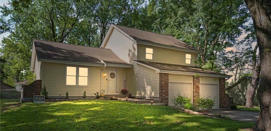 Homes for Sale in Kansas City, MO 64155 | 813 NE 113 Terrace