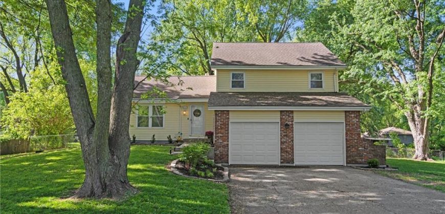 Homes for Sale in Kansas City, MO 64155 | 813 NE 113 Terrace