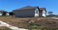 Homes for Sale in Kansas City, MO 64165 | 1302 NE 122nd Street
