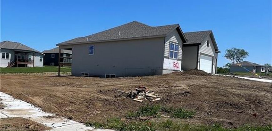 Homes for Sale in Kansas City, MO 64165 | 1302 NE 122nd Street