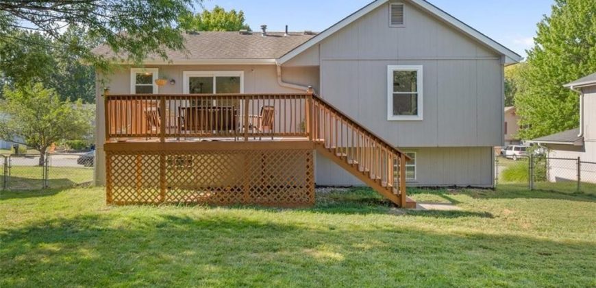 Homes for Sale in Kansas City, MO 64155 | 118 NE 109th Street