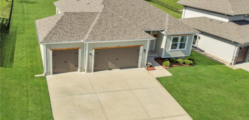 Homes for Sale in Platte City, MO 64079 | 12940 N Champanel Way