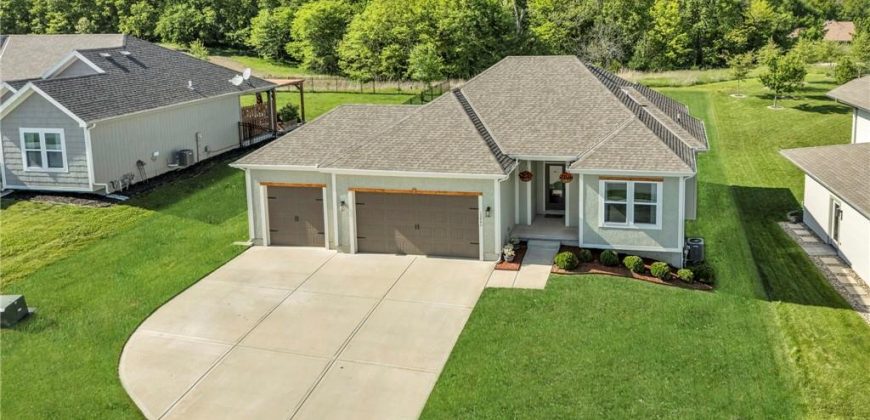 Homes for Sale in Platte City, MO 64079 | 12940 N Champanel Way