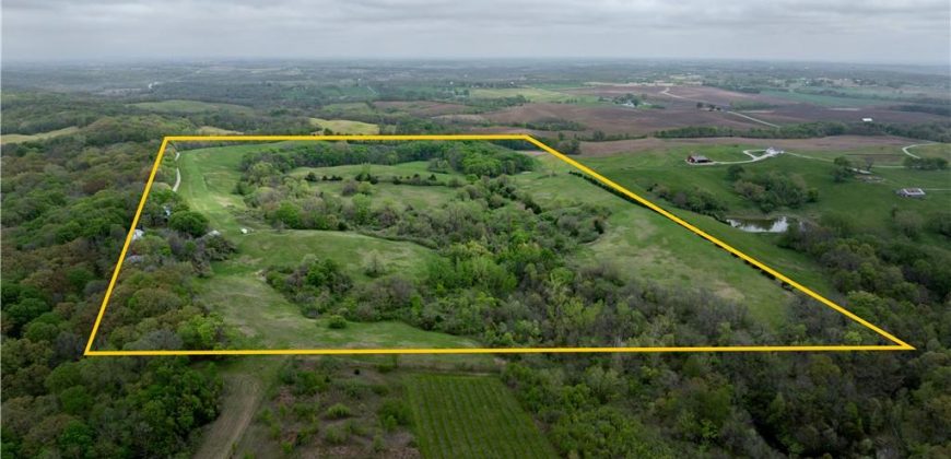 Homes for Sale in Platte City, MO 64079 | 14207 N MO-45 Highway