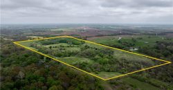 Homes for Sale in Platte City, MO 64079 | 14207 N MO-45 Highway
