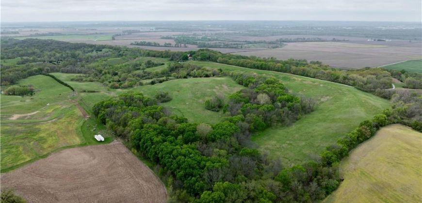 Homes for Sale in Platte City, MO 64079 | 14207 N MO-45 Highway