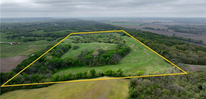 Homes for Sale in Platte City, MO 64079 | 14207 N MO-45 Highway