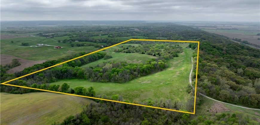 Homes for Sale in Platte City, MO 64079 | 14207 N MO-45 Highway
