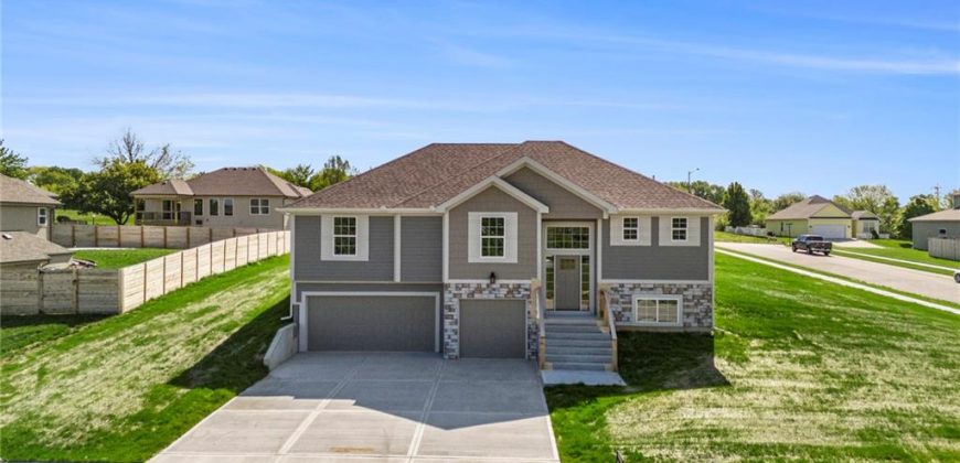 Homes for Sale in Excelsior Springs, MO 64024 | 12414  Adam Street