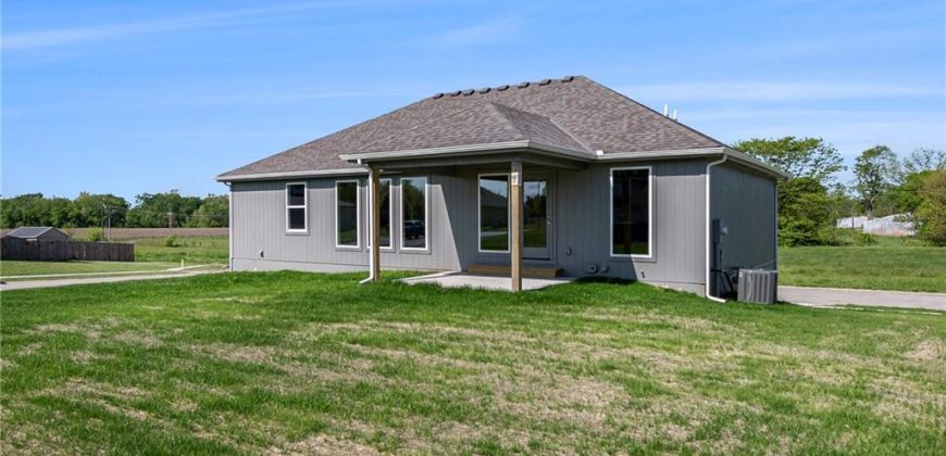 Homes for Sale in Excelsior Springs, MO 64024 | 12414  Adam Street