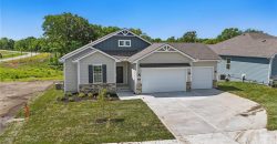 Homes for Sale in Kansas City, MO 64154 | 3001 NW 95th Terrace