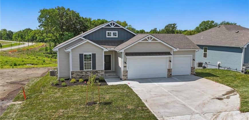Homes for Sale in Kansas City, MO 64154 | 3001 NW 95th Terrace