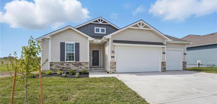 Homes for Sale in Kansas City, MO 64154 | 3001 NW 95th Terrace