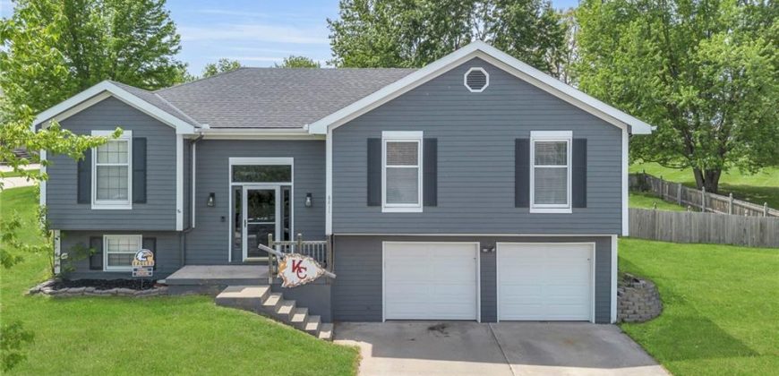 Homes for Sale in Kansas City, MO 64157 | 8811 NE 109th Street